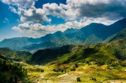 夢(mèng)中的雞鳴，一場(chǎng)神秘的夢(mèng)境之旅，夢(mèng)中的雞鳴，神秘夢(mèng)境之旅