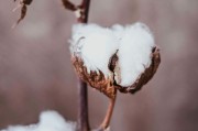 如何在期貨市場中應(yīng)對各種風(fēng)險因素？