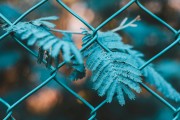 SEO是什么？，簡要解析，理解SEO的基本概念和術(shù)語