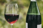 醉酒熱點新聞背后的深思，酒精濫用與公共安全的雙重挑戰(zhàn)，酒精濫用陰影下的公共安全困境，醉酒新聞背后的警示