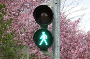 新車輪胎發(fā)黃的原因是什么？如何預(yù)防和處理這一問題？