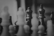 網(wǎng)紅上頭條，現(xiàn)象背后的機遇與挑戰(zhàn)
