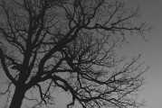 夢(mèng)中的驚悚之影——夢(mèng)到別人殺人的心理解析，夢(mèng)中的心理解析，殺人夢(mèng)境的驚悚與解讀