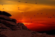 夢(mèng)中的航行之旅，夢(mèng)中的航行之旅，探索心靈深處的旅程