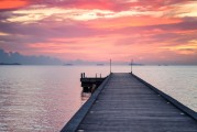 夢(mèng)到摘果子的奇幻之旅，奇幻之旅，夢(mèng)中的摘果之旅