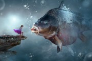夢中捉魚，一場與魚的奇妙邂逅，夢中捉魚，一場與魚的奇妙邂逅