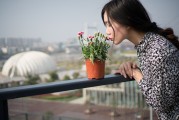 夢中邂逅，女孩的神秘世界，夢中邂逅，女孩的神秘世界