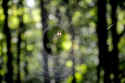 解密無限游戲——免費手機解密游戲的帶你探索未知世界，一鍵破解，揭秘無窮游戲，解鎖無限世界