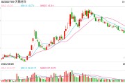 電解液“一哥”天賜材料業(yè)績再腰斬，比兩年前少賺50億元