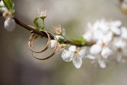 夢(mèng)中之筆，一篇關(guān)于夢(mèng)到文章的探索