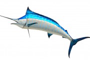 無(wú)限制的海洋冒險(xiǎn)，游戲釣魚(yú)免費(fèi)下載體驗(yàn)，無(wú)盡海洋，魚(yú)類垂釣樂(lè)趣無(wú)窮！輕松下載并享受游戲捕魚(yú)的樂(lè)趣