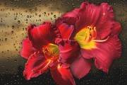 妃容天下游戲全線上免費！你還在等什么？這款以歷史背景和精美畫面為題材的手機(jī)游戲，即將在全線上全面開啟。，妃容天下手游預(yù)約開啟