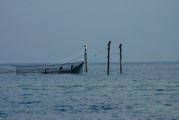 夢中的魚影，一次自我探索的殺魚夢，夢中之魚影，一次自我探索的殺魚夢境