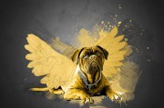 夢(mèng)到路上撿錢，財(cái)富的預(yù)兆還是虛幻的夢(mèng)？