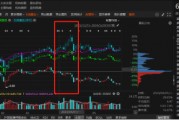 祥源文旅非經(jīng)營性資金占用雖已歸還，但仍被出具警示函！