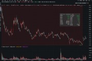 上市股價(jià)最大跌幅超73%！利揚(yáng)芯片業(yè)績(jī)?nèi)孓D(zhuǎn)虧、風(fēng)險(xiǎn)因素不斷積累