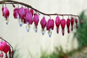 夢(mèng)境中的例假之謎，夢(mèng)境中的例假之謎解析