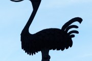 夢(mèng)中的蛇咬人，解讀與解析，夢(mèng)中的蛇咬人，解讀與解析
