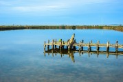 俄羅斯釣魚平臺(tái)注冊(cè)攻略，輕松開啟你的釣魚之旅，俄羅斯釣魚平臺(tái)注冊(cè)指南，輕松啟程享受釣魚樂趣