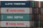 流量費(fèi)網(wǎng)站的崛起與影響，流量費(fèi)網(wǎng)站的發(fā)展與趨勢(shì)，對(duì)消費(fèi)者和運(yùn)營(yíng)商的影響