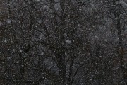 夢(mèng)中雪舞，心靈的洗禮，夢(mèng)中雪舞，心靈的洗禮