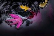 論安琪拉免費(fèi)游戲的影響力，安琪拉，一個免費(fèi)游戲的魅力及其對游戲行業(yè)的深遠(yuǎn)影響