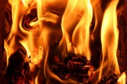 行尸走肉游戲免費(fèi)下載，讓你在末日中找尋生存之道，高清免費(fèi)的行尸走肉游戲大放送，末世求生必備神器