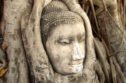 游戲中的情感釋放，憤怒與自由，深度解析，游戲中的情感釋放、憤怒與自由