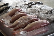 網(wǎng)約廚師注冊(cè)全攻略，輕松開啟你的美食配送之旅，網(wǎng)約廚師入駐指南，輕松起步美食配送事業(yè)