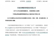 因涉嫌信息披露違法違規(guī)，先鋒新材及總經理盧先鋒被立案