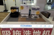 年輕人追捧“電子年貨”！掃地機器人熱銷，科技感與煙火氣交融｜新春走基層