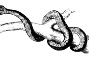 夢(mèng)魘之蛇，蛇咬與反擊的夢(mèng)境解析，夢(mèng)魘之蛇，蛇咬與反擊的夢(mèng)境解析