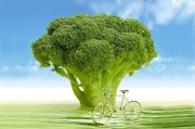 春季養(yǎng)生熱點(diǎn)新聞，專家支招，助您健康迎接新季，春季養(yǎng)生攻略，專家支招，暢享健康新季
