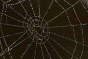 Unity開(kāi)發(fā)的概述，Unity，創(chuàng)建3D游戲和應(yīng)用程序的強(qiáng)大工具