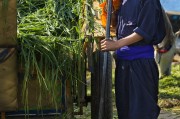 能在掙錢的免費農(nóng)場游戲中生存下去嗎？，逃脫農(nóng)地，自由農(nóng)場生存挑戰(zhàn)