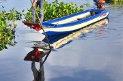 夢中魚游——一場關于小魚的夢境之旅，夢中魚游，一場關于小魚的夢境之旅