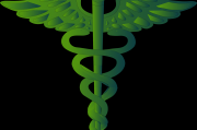 夢(mèng)中的神秘符號(hào)—龍頭蛇，夢(mèng)中的神秘符號(hào)，龍頭蛇