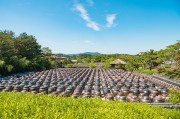 打造空中農(nóng)田，讓夢想照進現(xiàn)實——免費種地游戲的探索與啟示，空中農(nóng)田，挑戰(zhàn)、機遇與啟示——一個免費種地游戲的探討