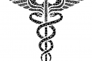 夢(mèng)中的蛇影，解析夢(mèng)到蛇被砍成好幾段的深層含義，夢(mèng)中的蛇影，解析夢(mèng)到蛇被砍成好幾段的深層心理含義