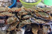 夢(mèng)中奇遇，螃蟹與魚的共舞，夢(mèng)中奇遇，螃蟹與魚的共舞
