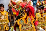 夢(mèng)中出嫁的奇幻之旅，夢(mèng)中出嫁的奇幻之旅