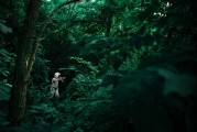 夢(mèng)境中的你，一場(chǎng)奇妙的套路之旅，夢(mèng)境中的奇妙套路之旅
