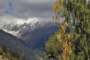 夢(mèng)境中的狂風(fēng)暴雨，一場(chǎng)心靈的洗禮，夢(mèng)境狂風(fēng)暴雨，心靈的洗禮之旅