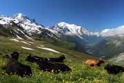 自由的纜車(chē)上山之旅，纜車(chē)旅行，一次自由探索山區(qū)的美妙體驗(yàn)