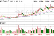 騰遠(yuǎn)鈷業(yè)：118383034股限售股將于9月18日上市流通