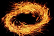 模擬經(jīng)營游戲免費游戲的天堂與地獄，模擬經(jīng)營游戲，天堂還是地獄？