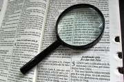 深入解析，如何使用Go語言高效搭建網(wǎng)站，Go語言高效構建網(wǎng)站全攻略揭秘