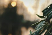 漫漫的ACG之路，尋找和熱愛的那份樂趣，ACG之路上，探索與熱愛的樂趣