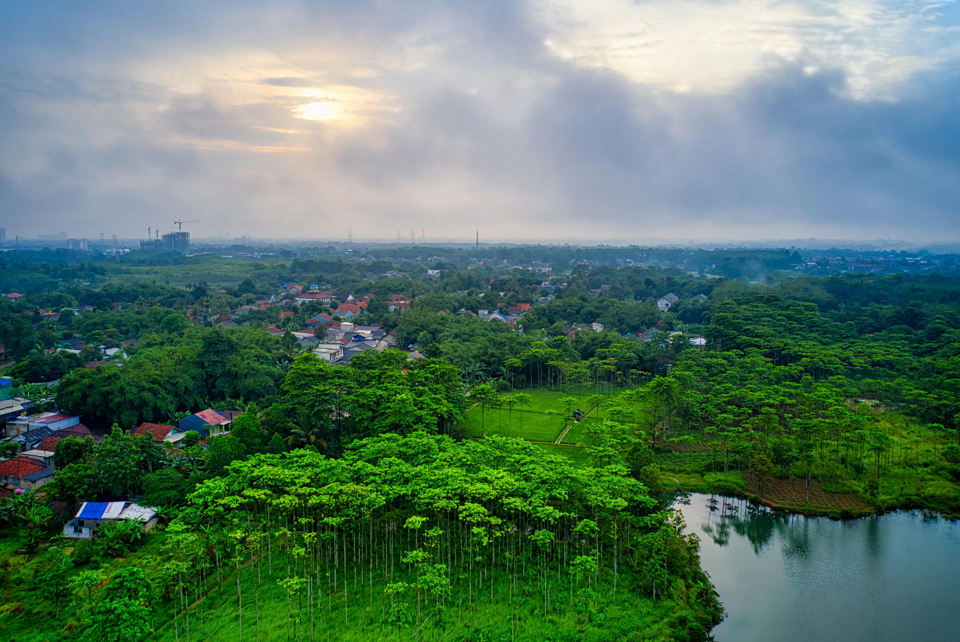 夢(mèng)中雞鳴，一場(chǎng)奇妙的夢(mèng)境之旅
