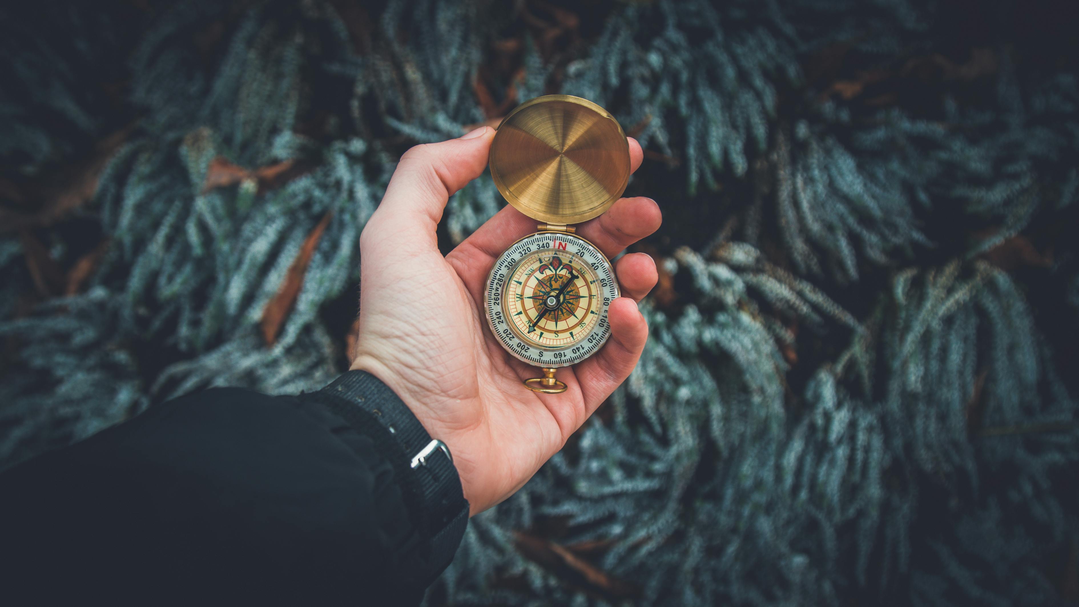 夢中的白發(fā)生長，一次關(guān)于時間、衰老與自我認知的探索